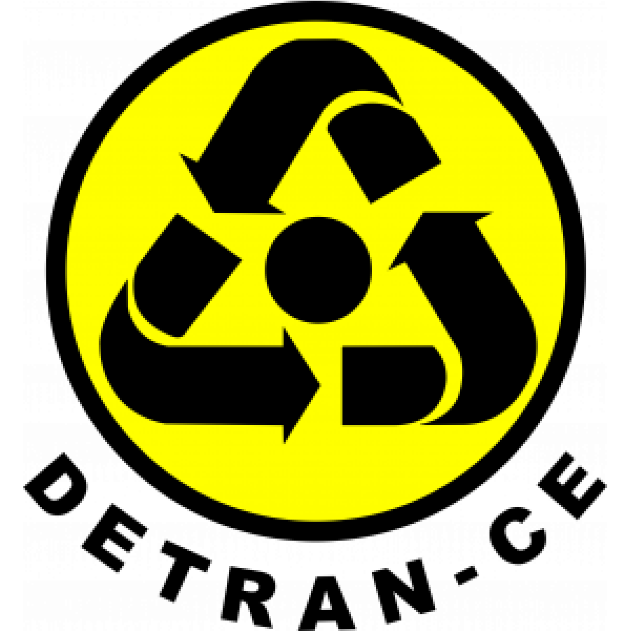 logo-detran-ce-madalena-matos